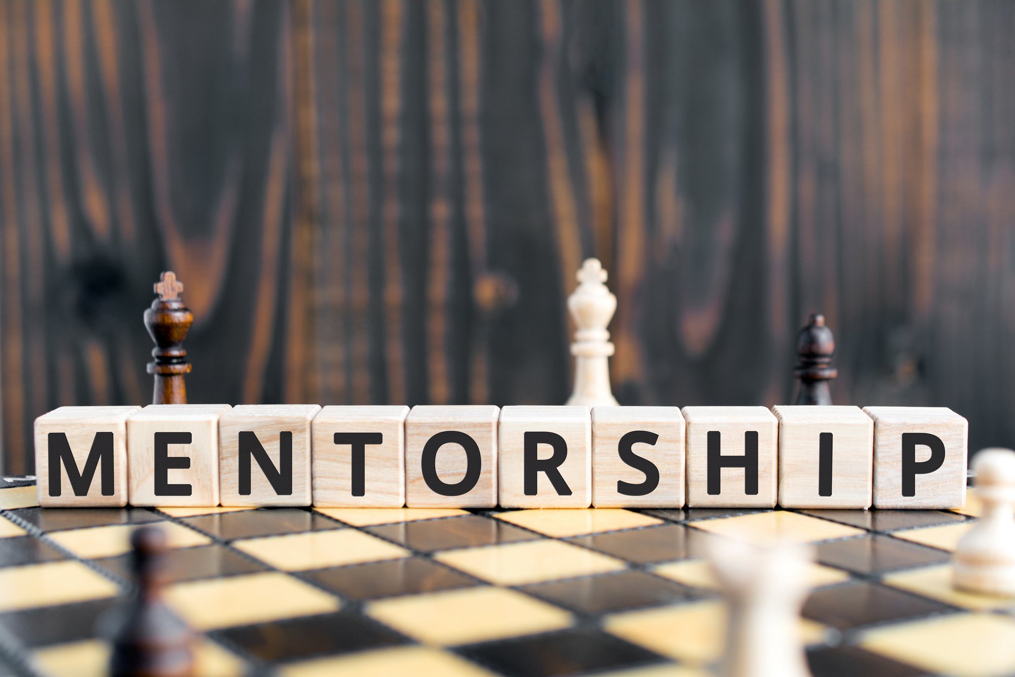 Mentorship - word from wooden blocks with letters