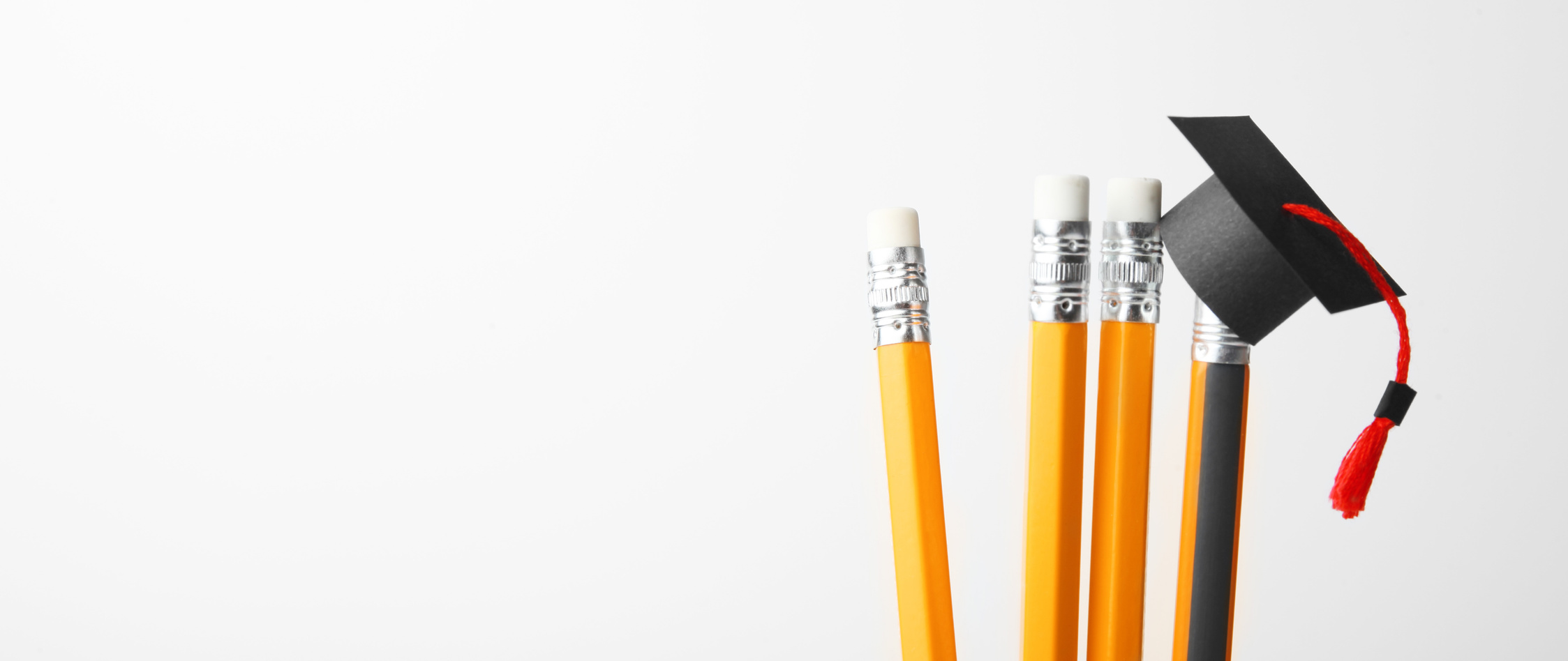 Graduation cap on pencils. Education, study and learn concept